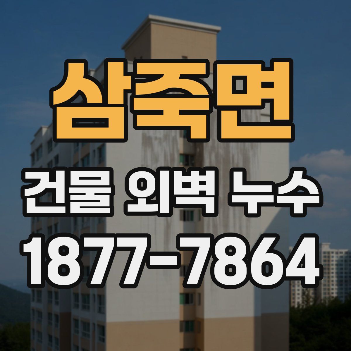 삼죽면 건물 외벽 누수