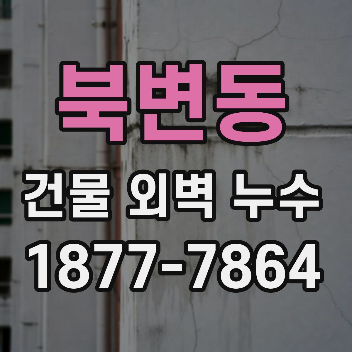 북변동 건물 외벽 누수