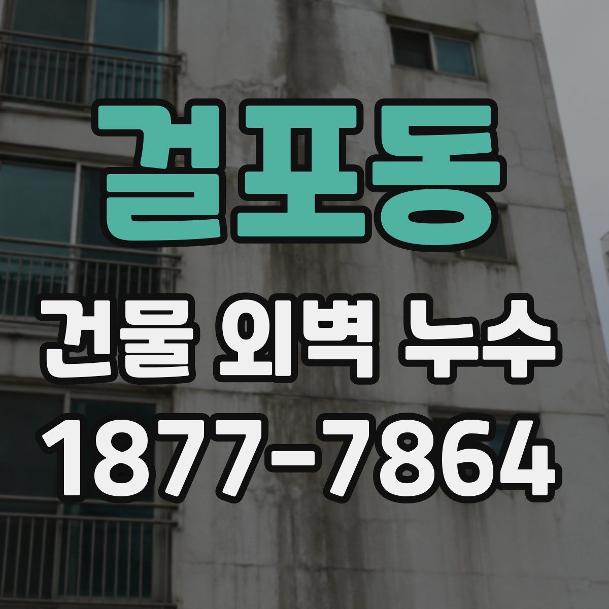 걸포동 건물 외벽 누수