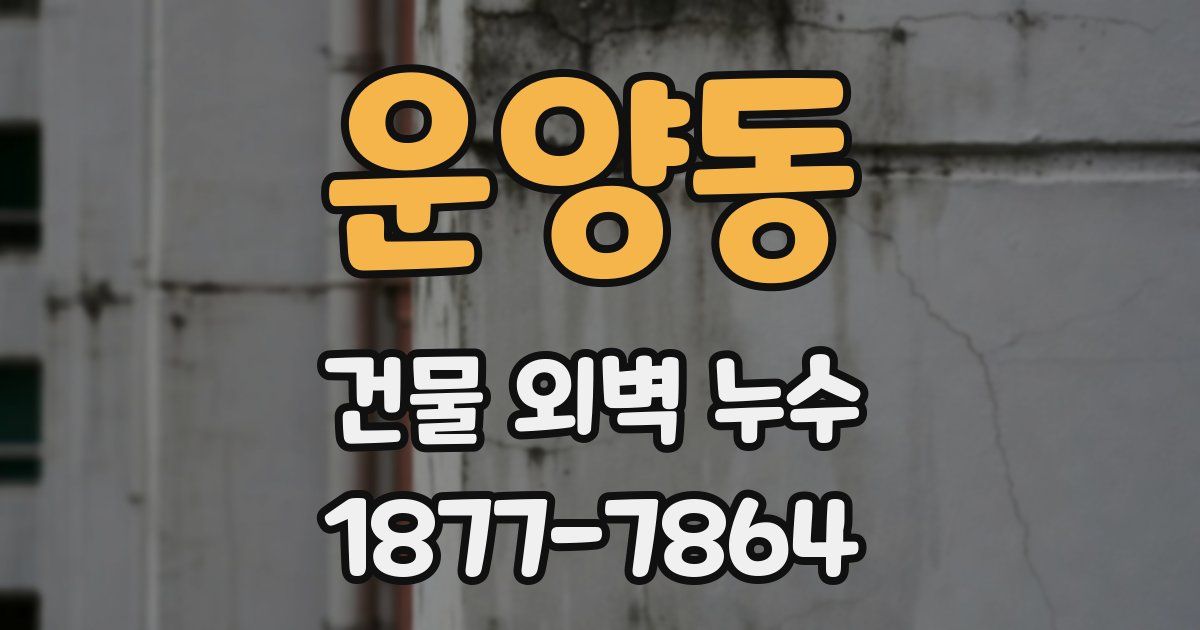 운양동 건물 외벽 누수