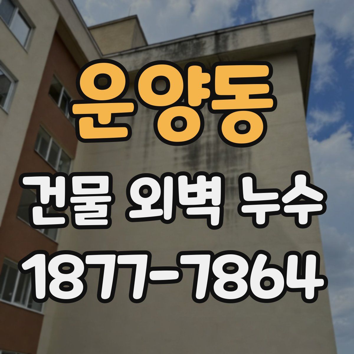 운양동 건물 외벽 누수