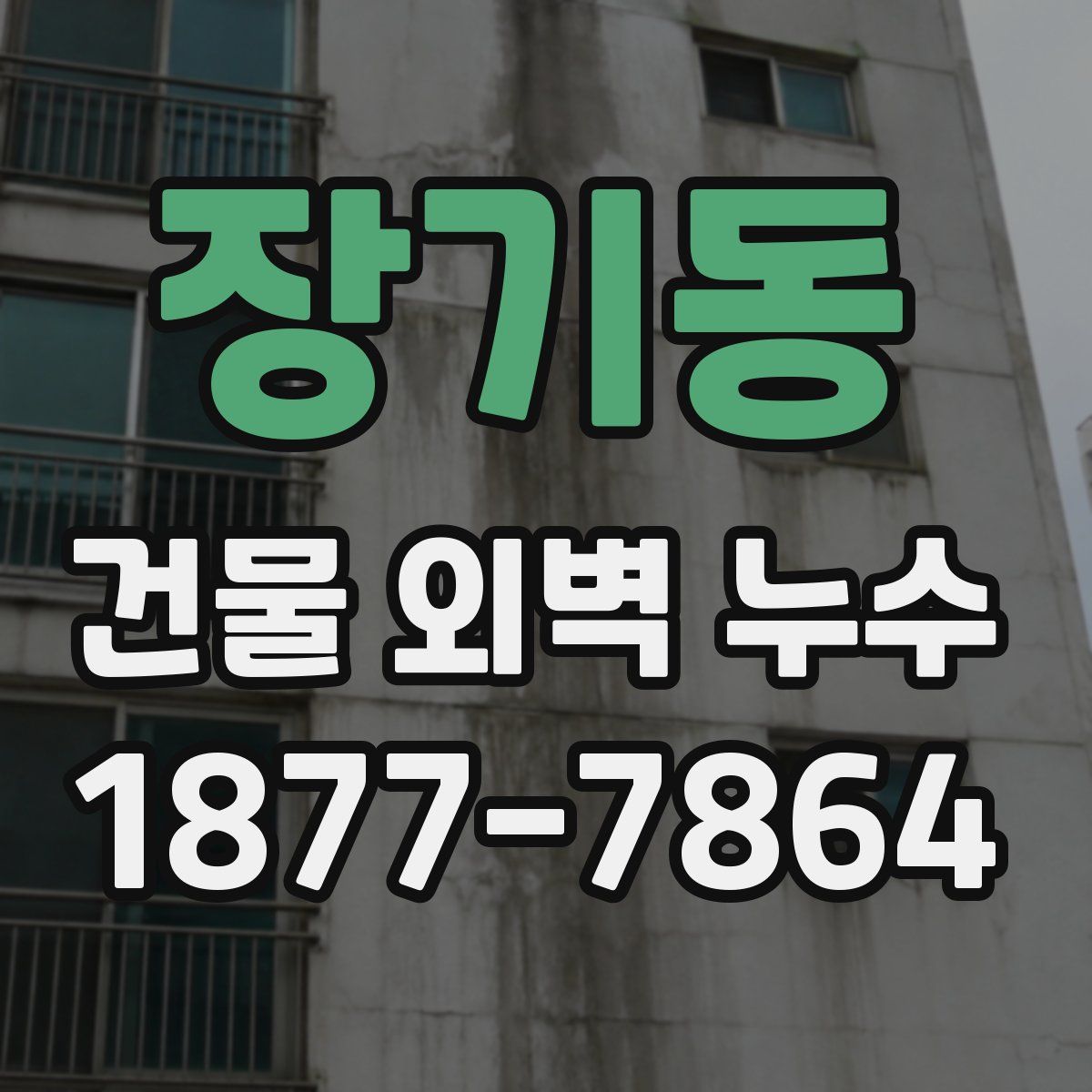 장기동 건물 외벽 누수