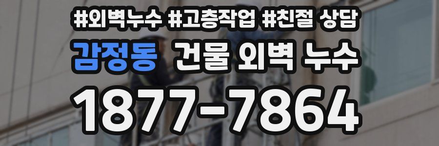 감정동 건물 외벽 누수