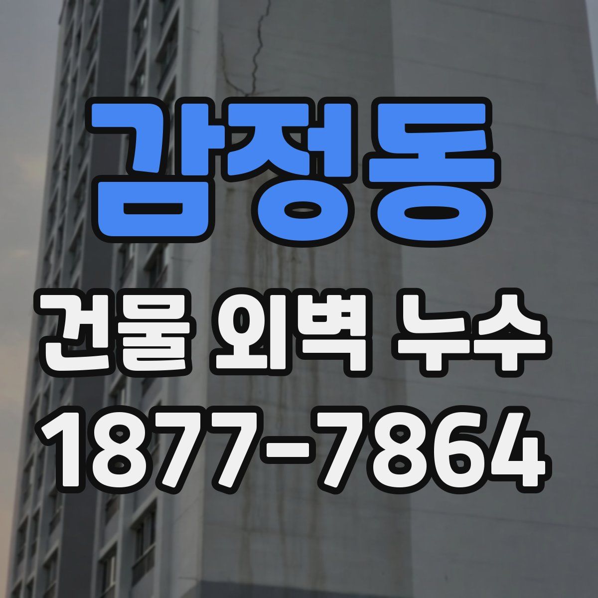 감정동 건물 외벽 누수