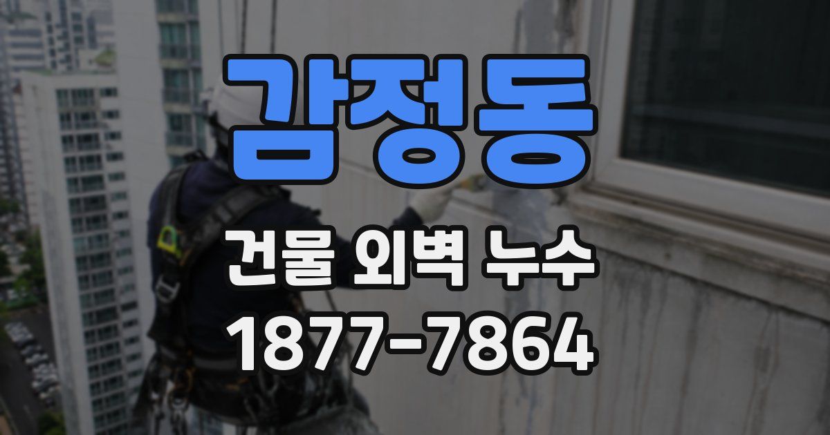 감정동 건물 외벽 누수
