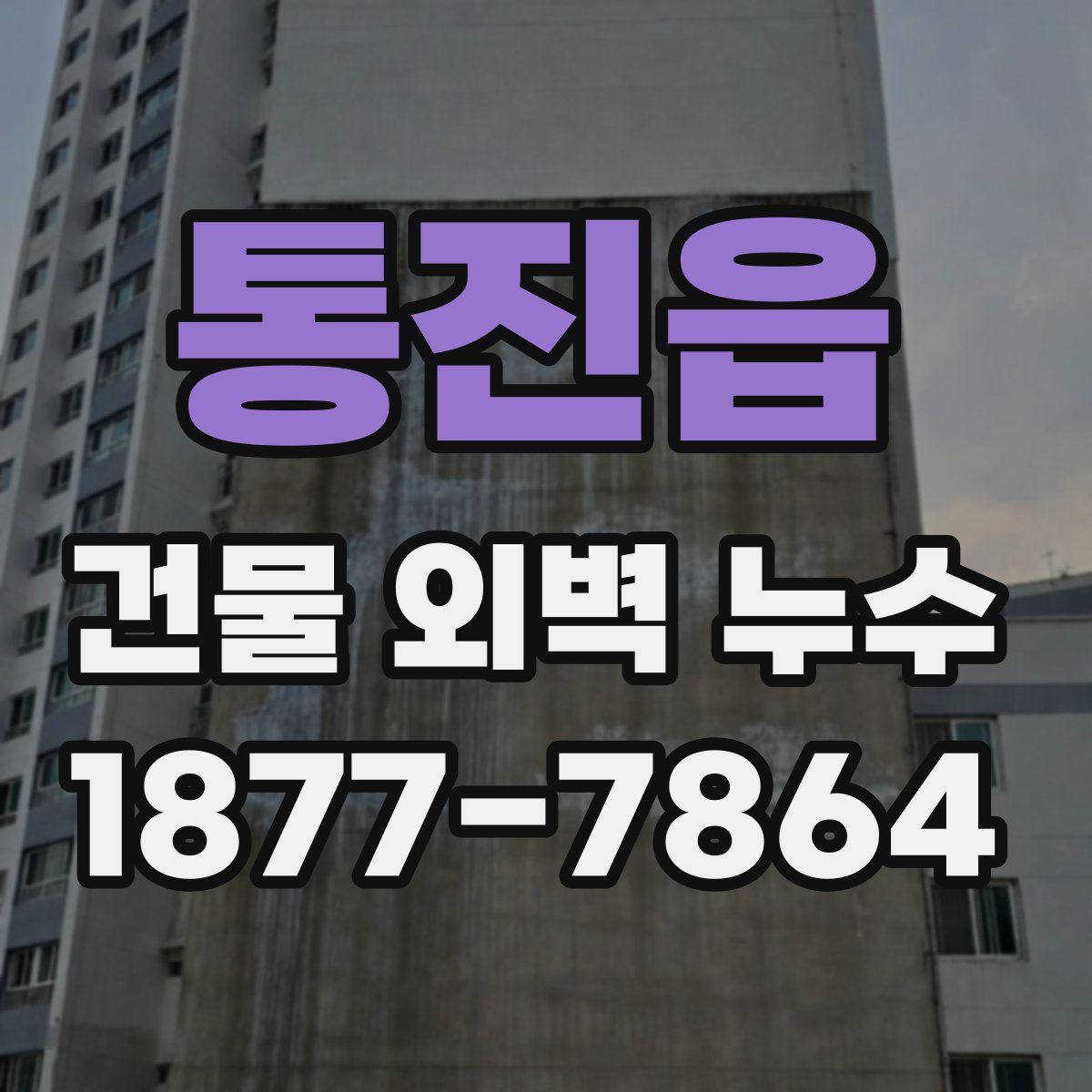 통진읍 건물 외벽 누수