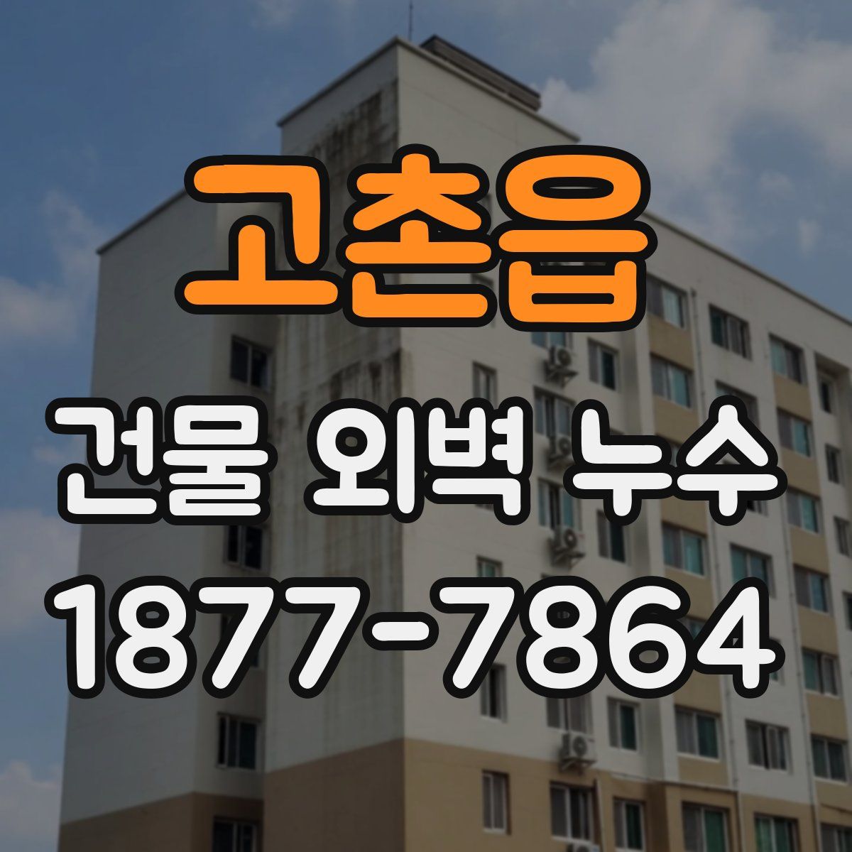 고촌읍 건물 외벽 누수