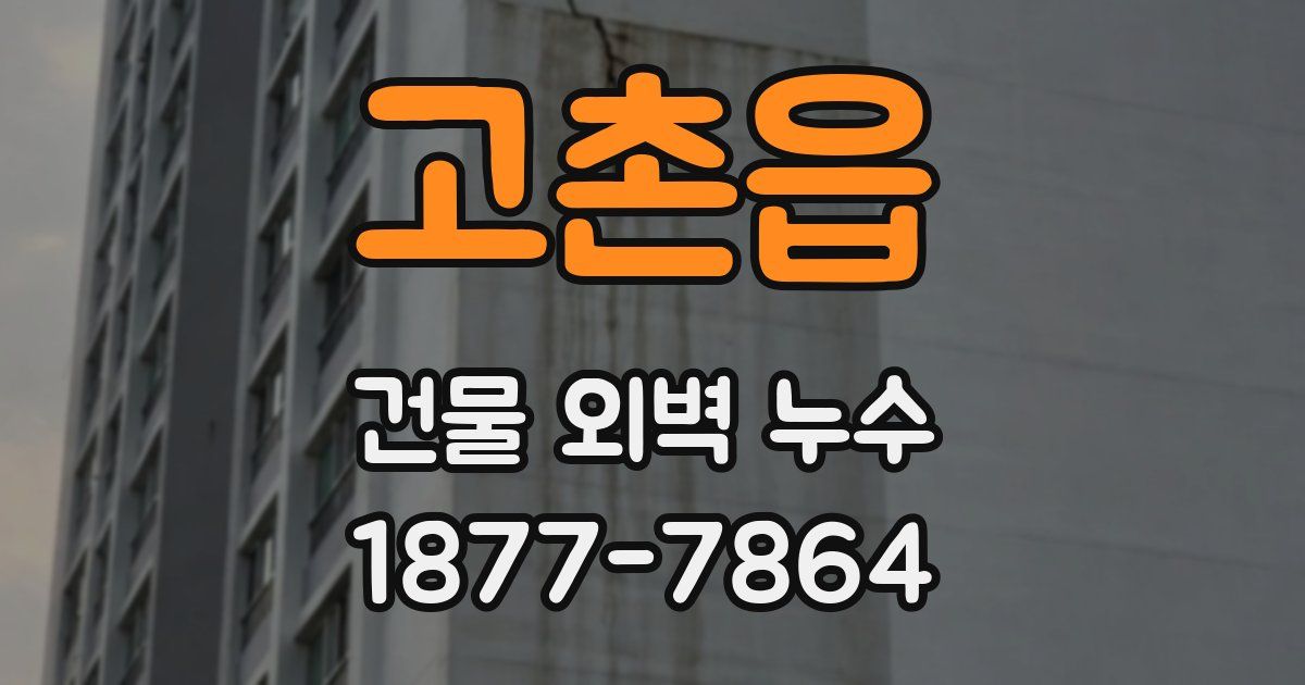 고촌읍 건물 외벽 누수