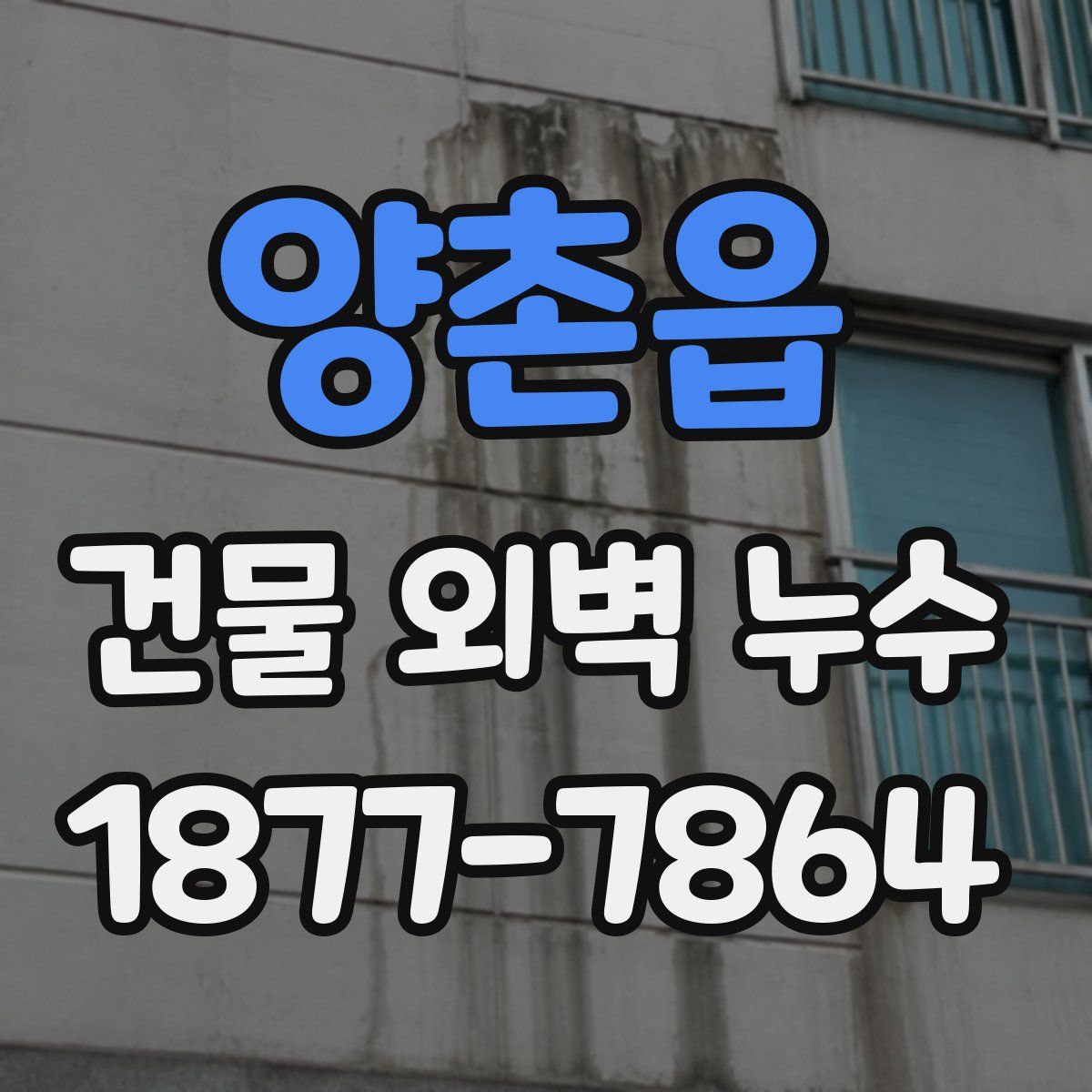 양촌읍 건물 외벽 누수