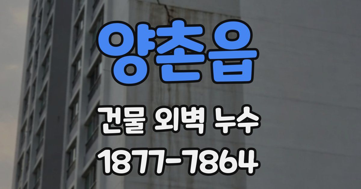 양촌읍 건물 외벽 누수