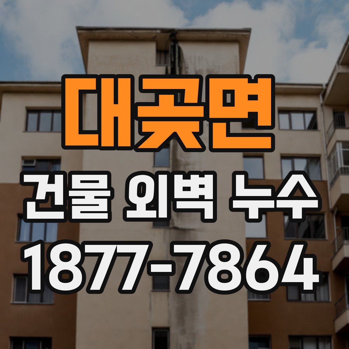 대곶면 건물 외벽 누수