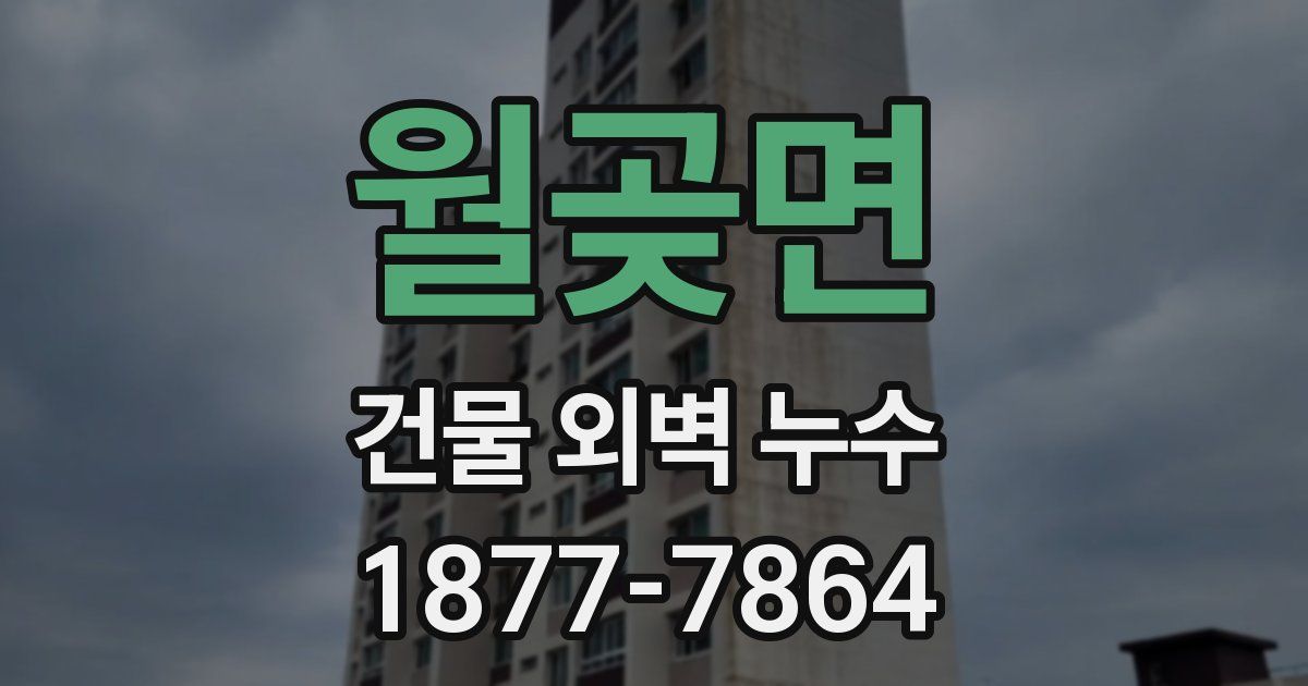 월곶면 건물 외벽 누수