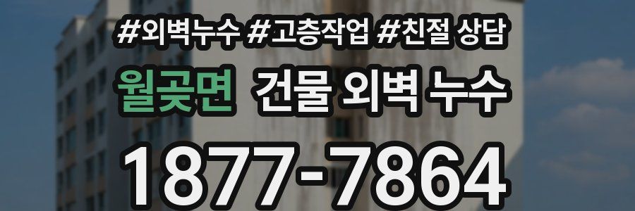 월곶면 건물 외벽 누수
