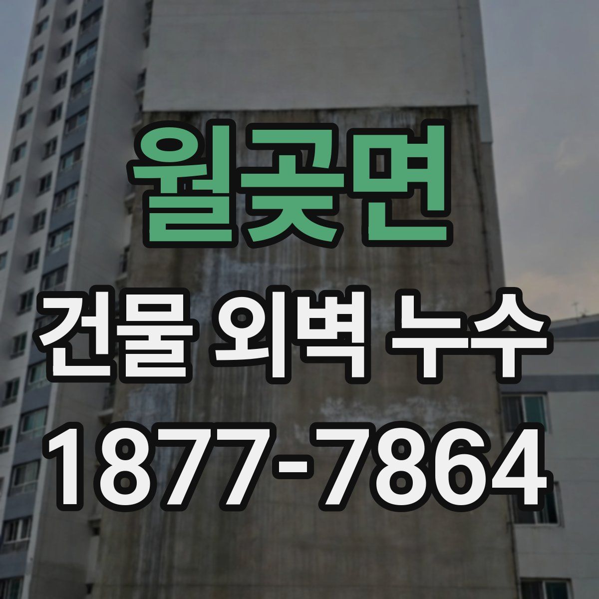 월곶면 건물 외벽 누수