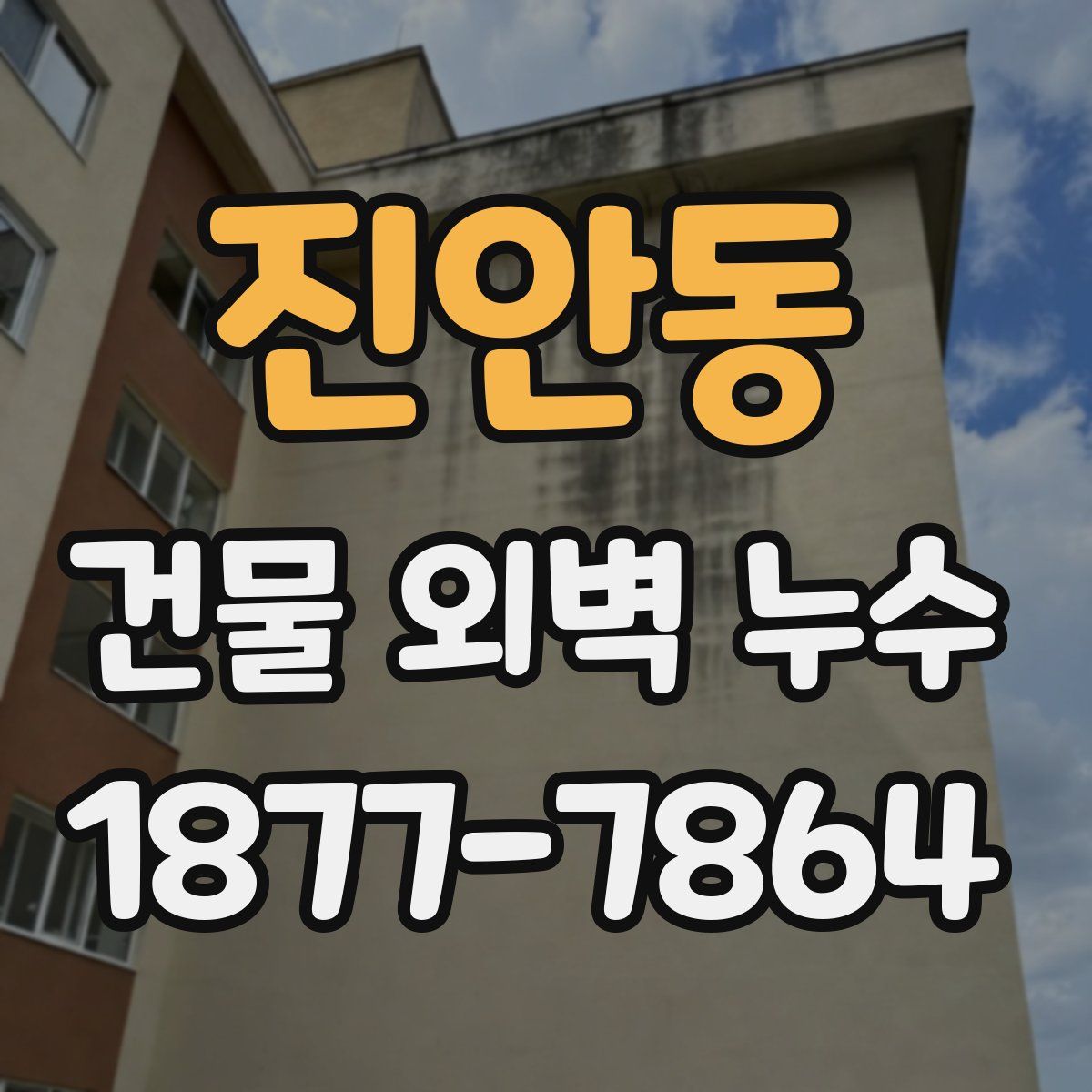 진안동 건물 외벽 누수