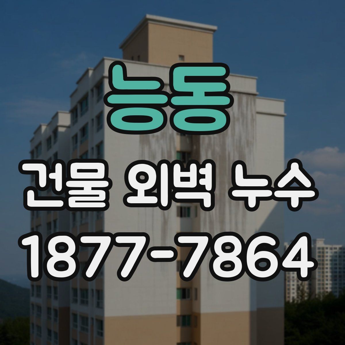 능동 건물 외벽 누수 공사 전후 주의사항