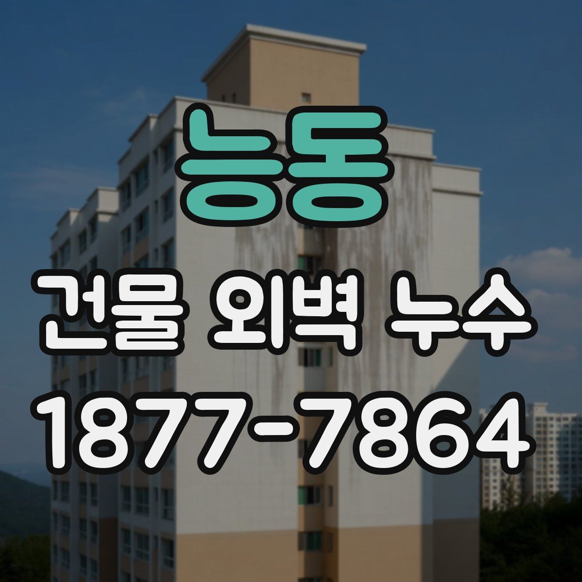 능동 건물 외벽 누수