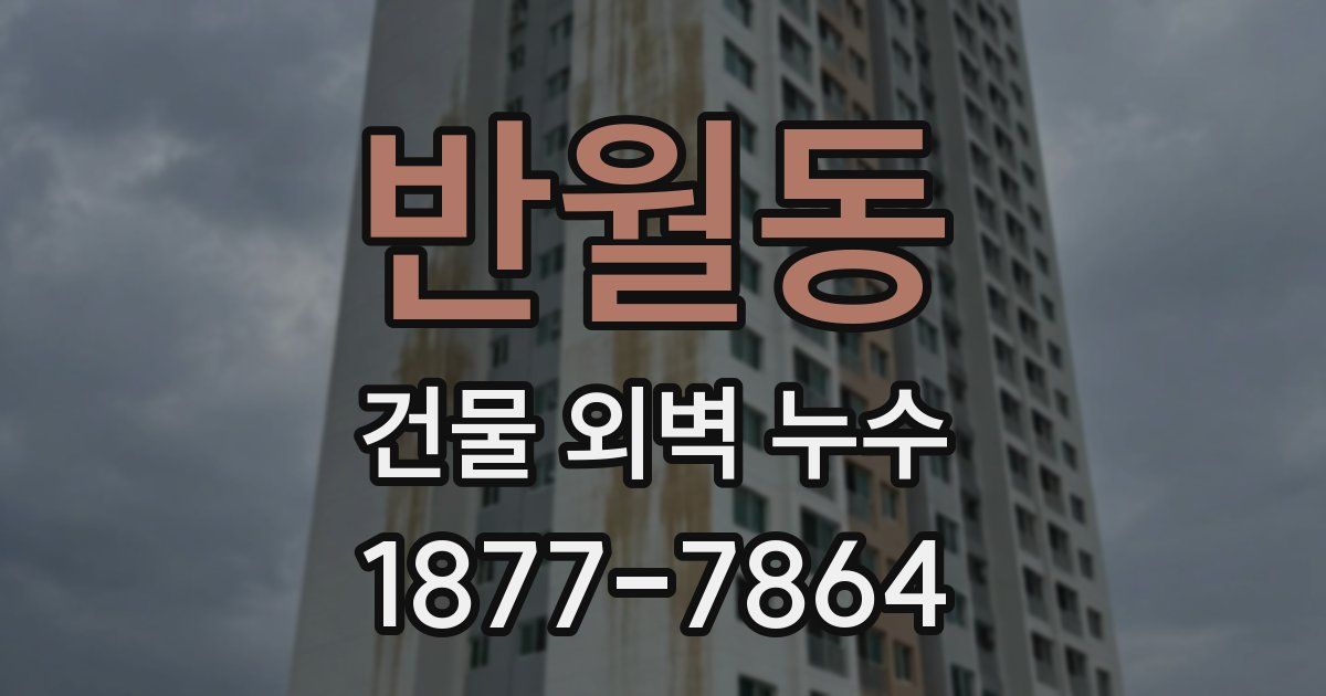 반월동 건물 외벽 누수