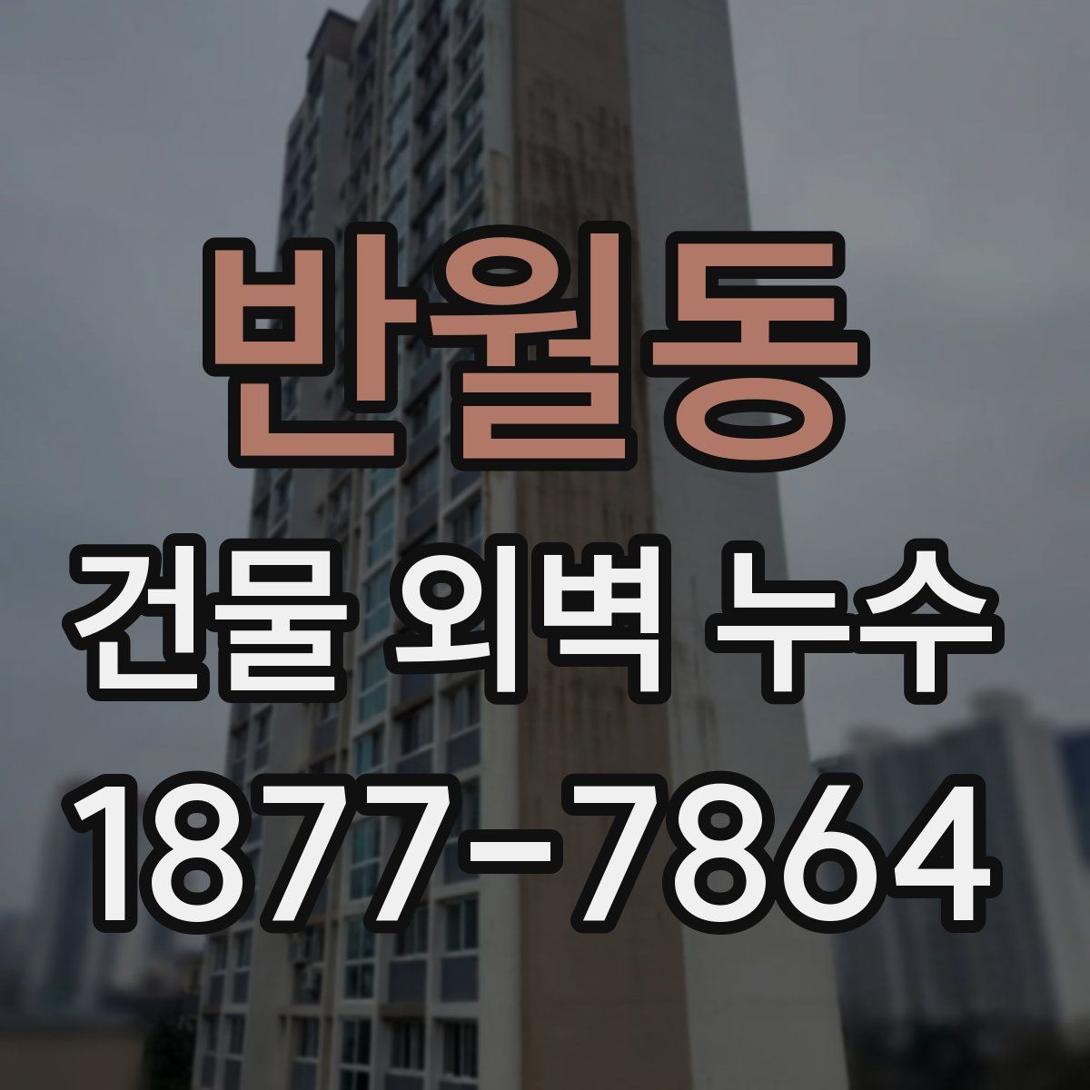 반월동 건물 외벽 누수