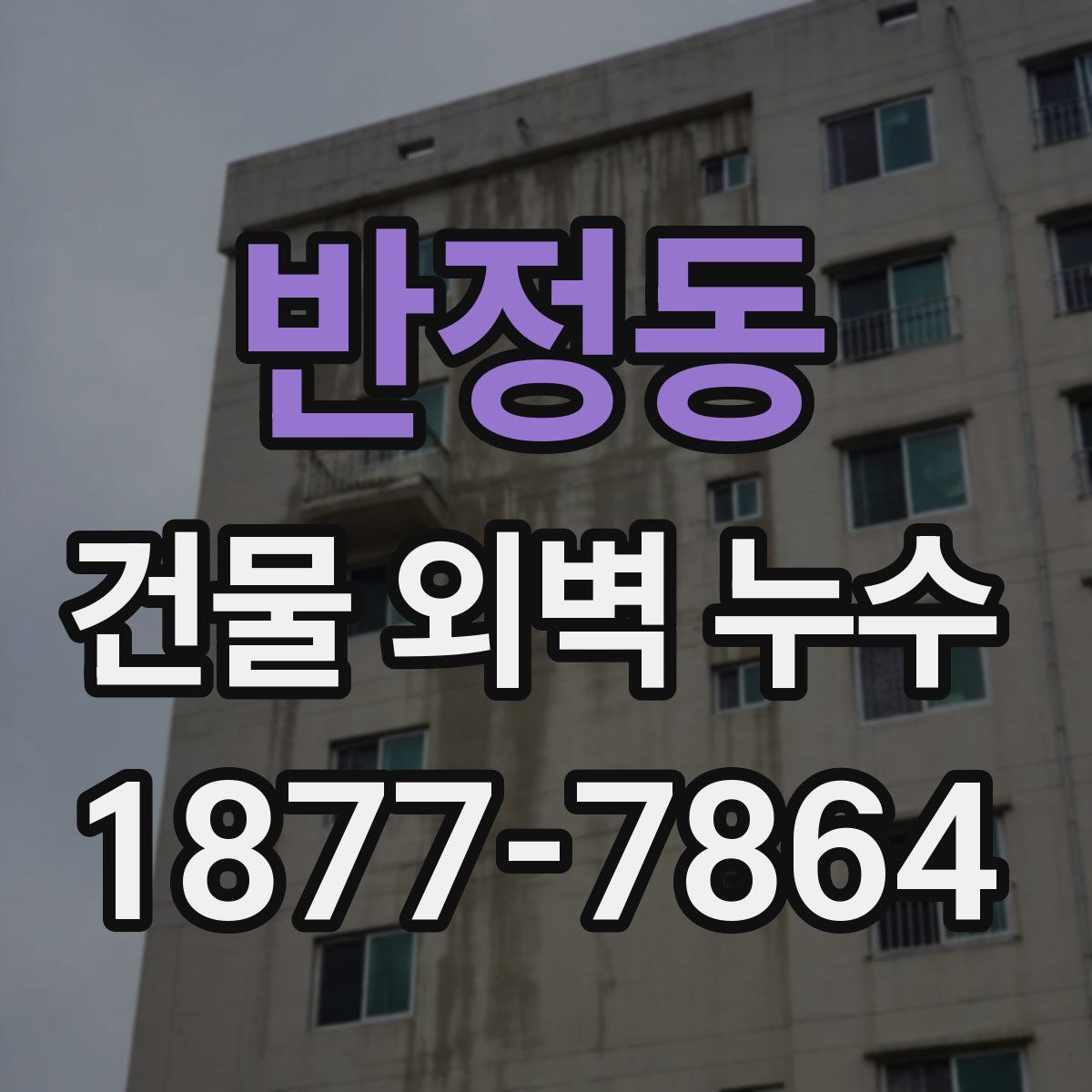 반정동 건물 외벽 누수