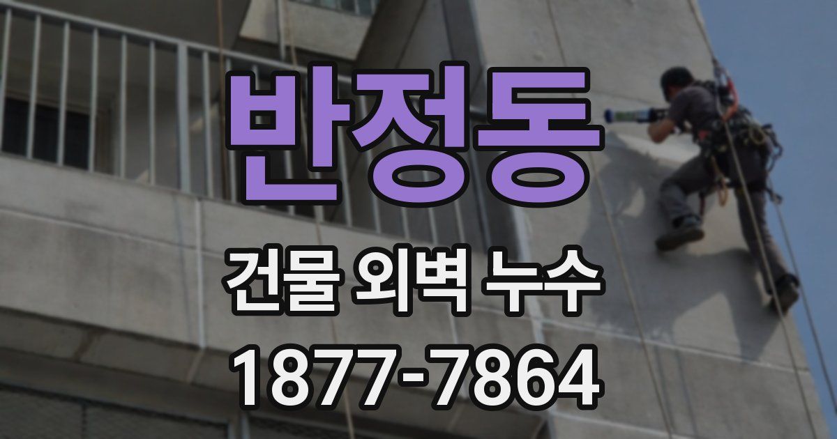 반정동 건물 외벽 누수