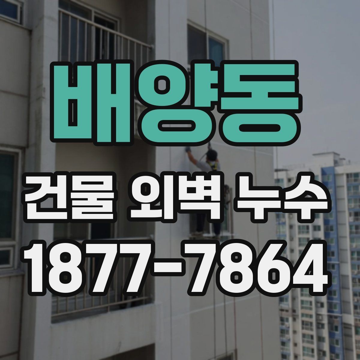 배양동 건물 외벽 누수 의심 증상으로 보는 신호