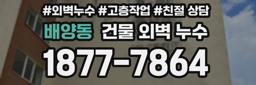 배양동 건물 외벽 누수