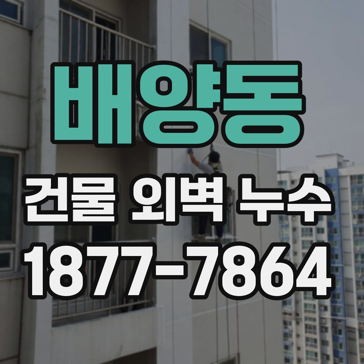 배양동 건물 외벽 누수