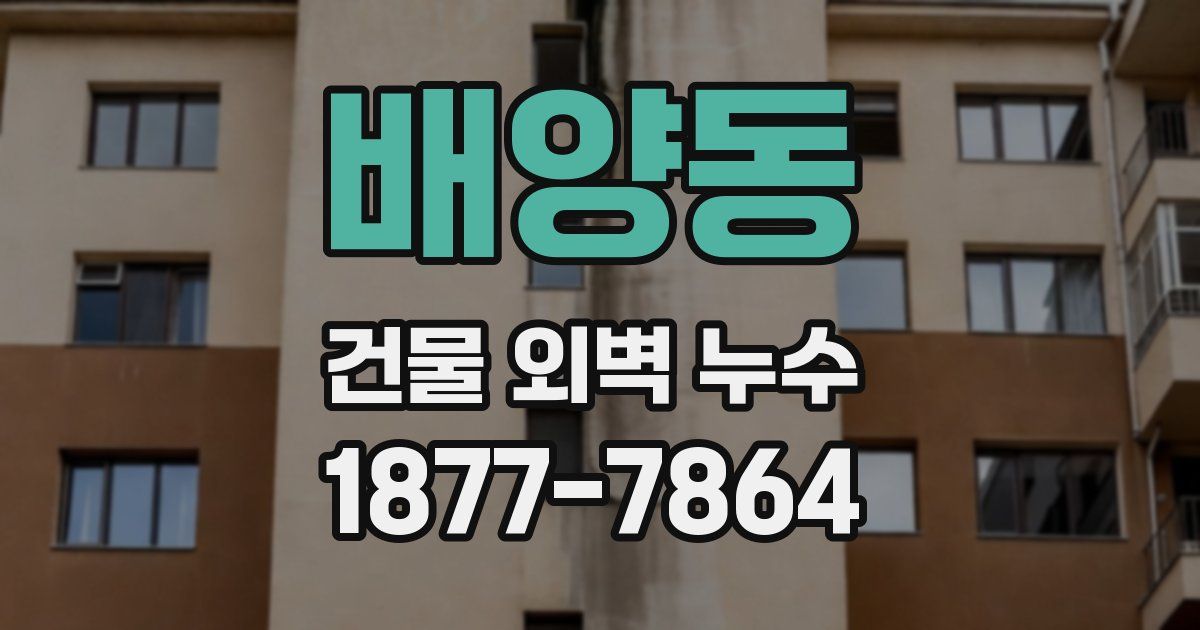 배양동 건물 외벽 누수