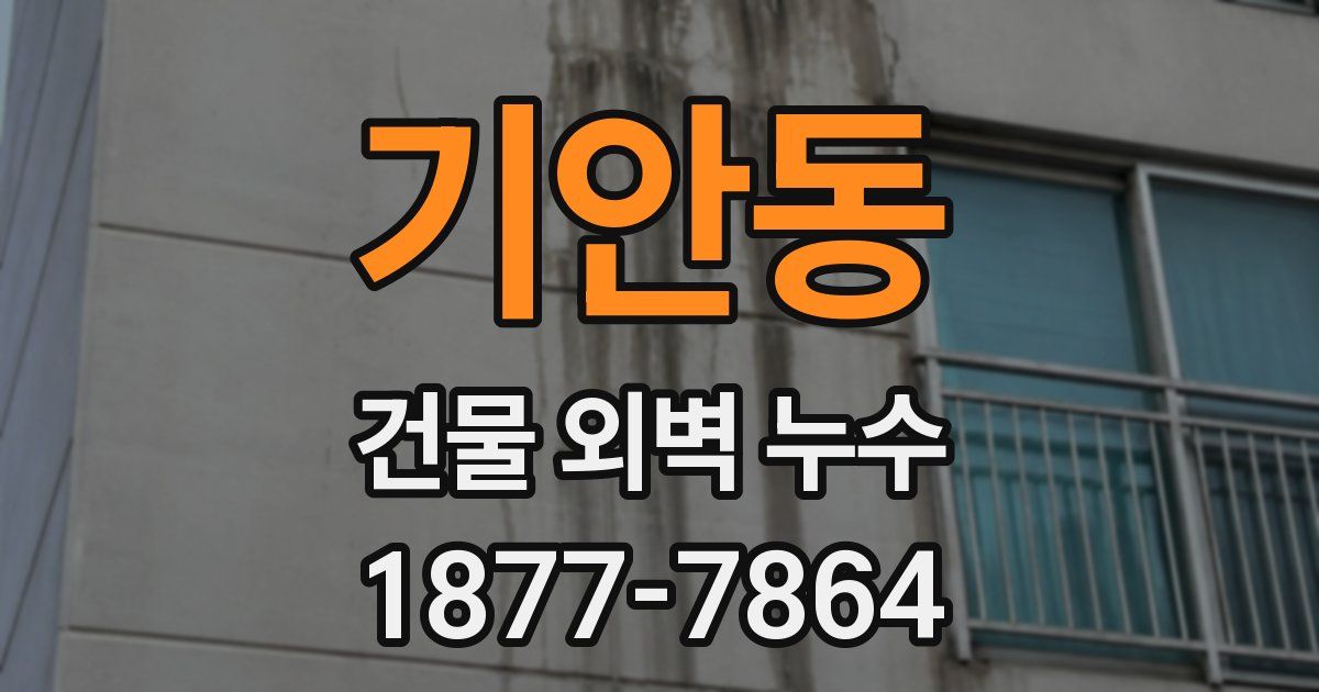 기안동 건물 외벽 누수
