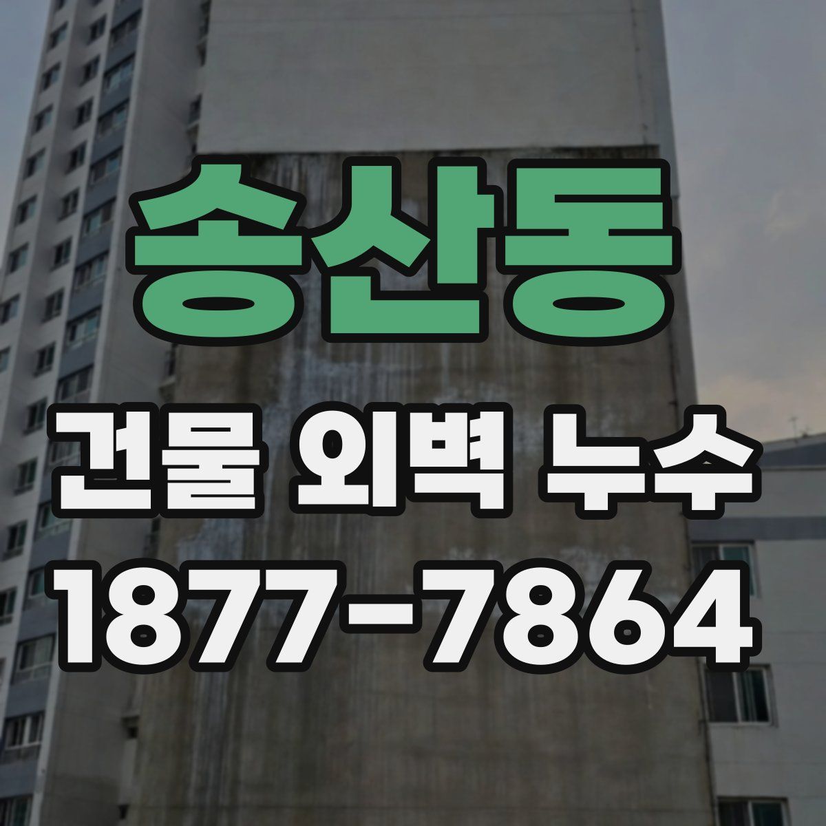 송산동 건물 외벽 누수