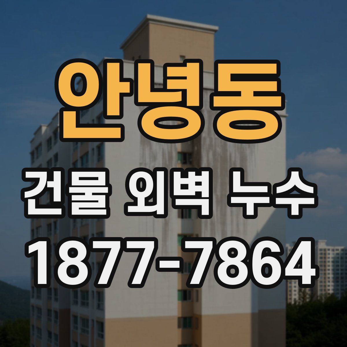 안녕동 건물 외벽 누수