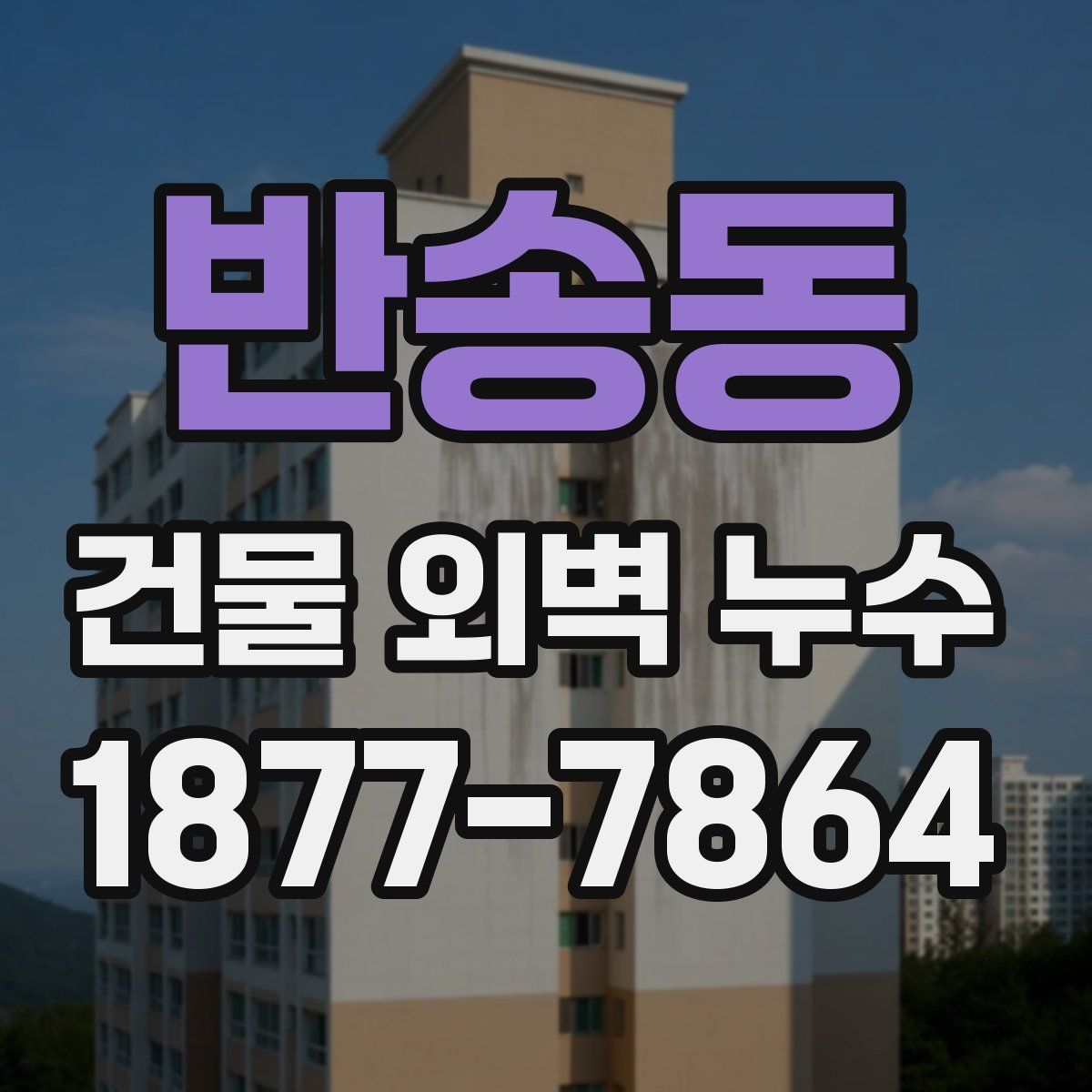 반송동 건물 외벽 누수