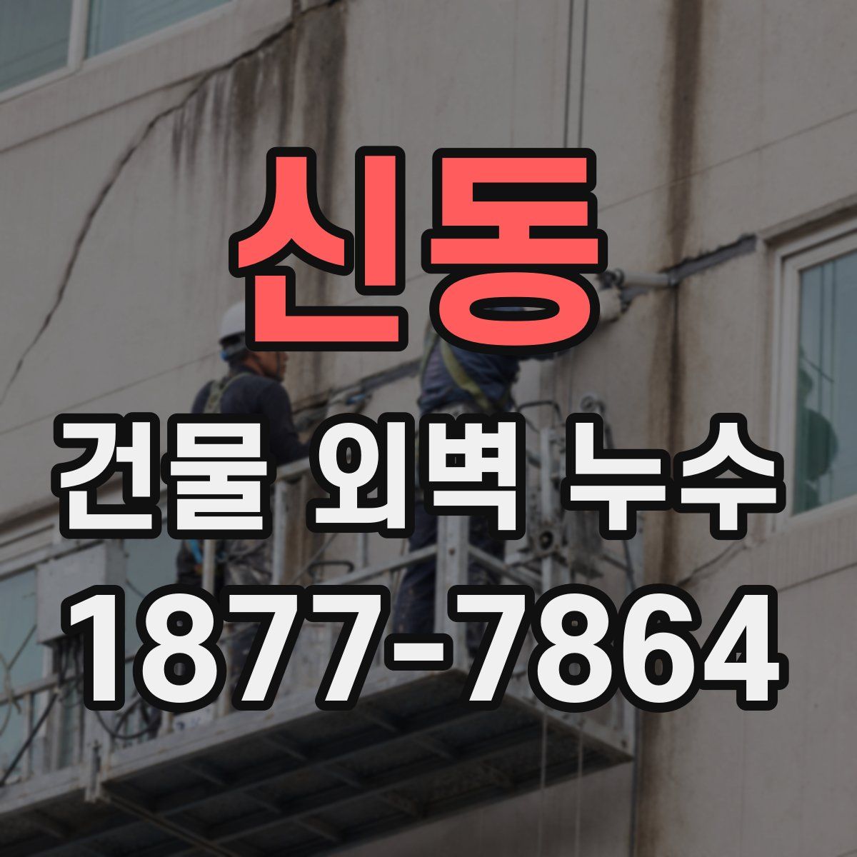 신동 건물 외벽 누수