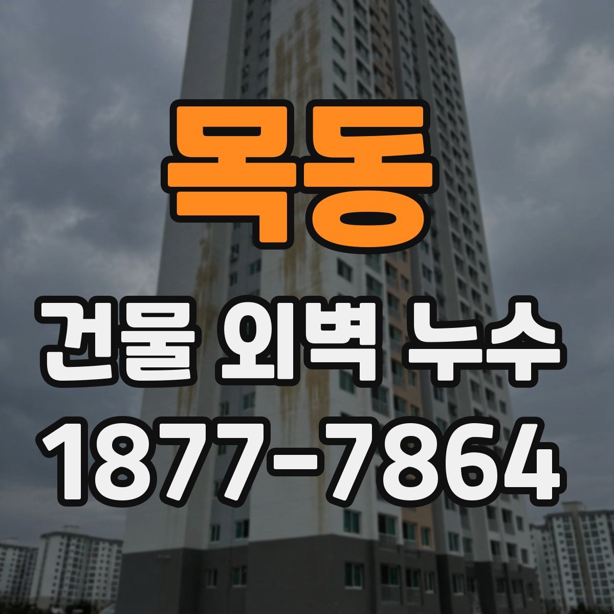 목동 건물 외벽 누수