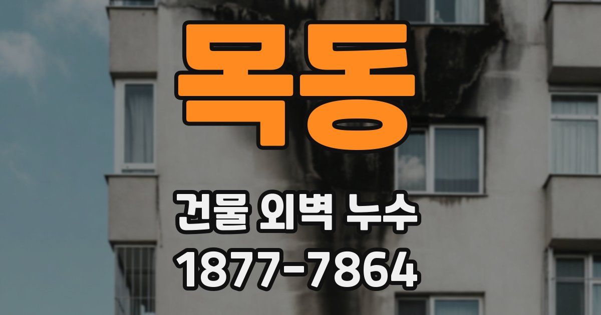 목동 건물 외벽 누수