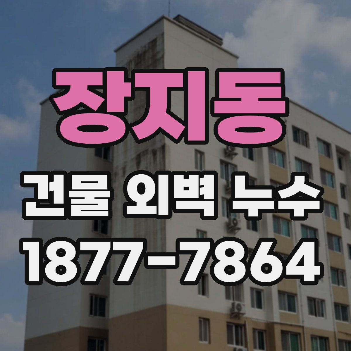 장지동 건물 외벽 누수