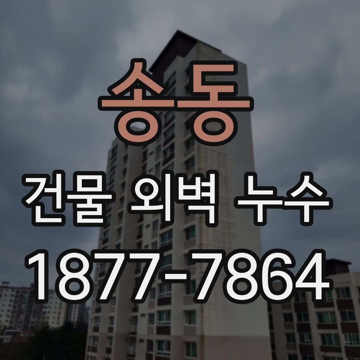 송동 건물 외벽 누수