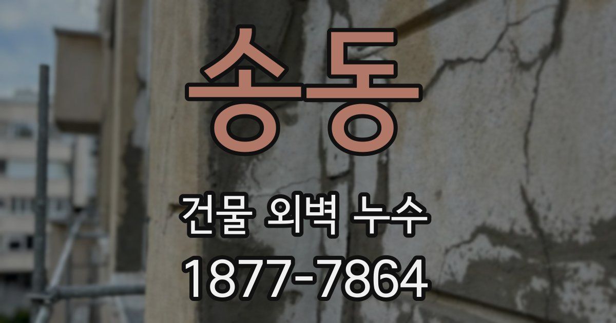 송동 건물 외벽 누수