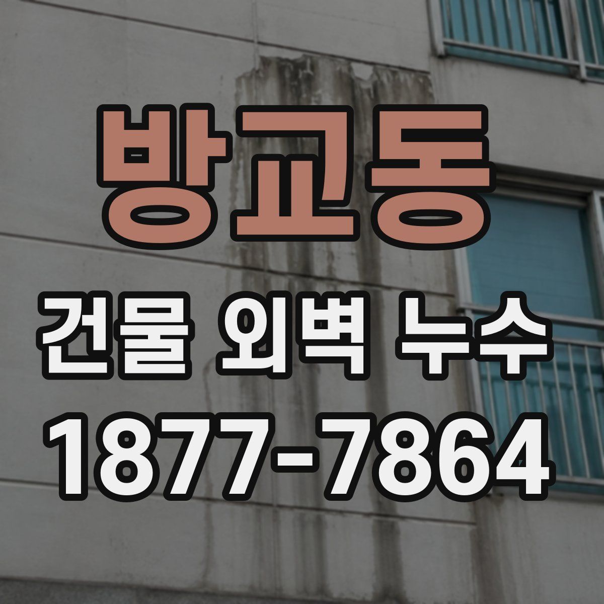 방교동 건물 외벽 누수