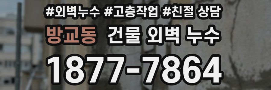 방교동 건물 외벽 누수