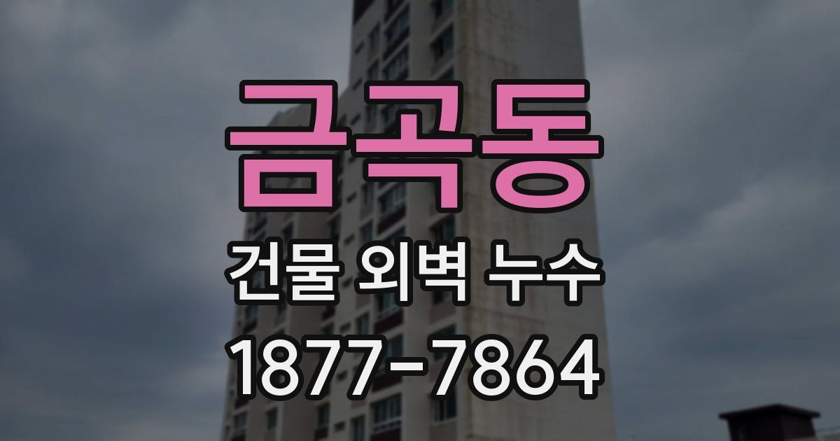 금곡동 건물 외벽 누수