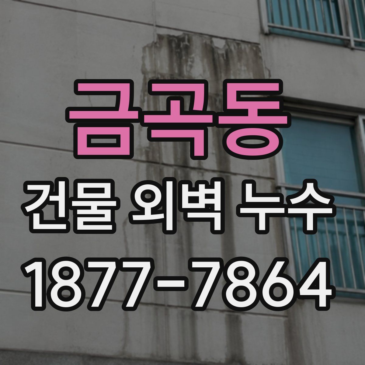 금곡동 건물 외벽 누수