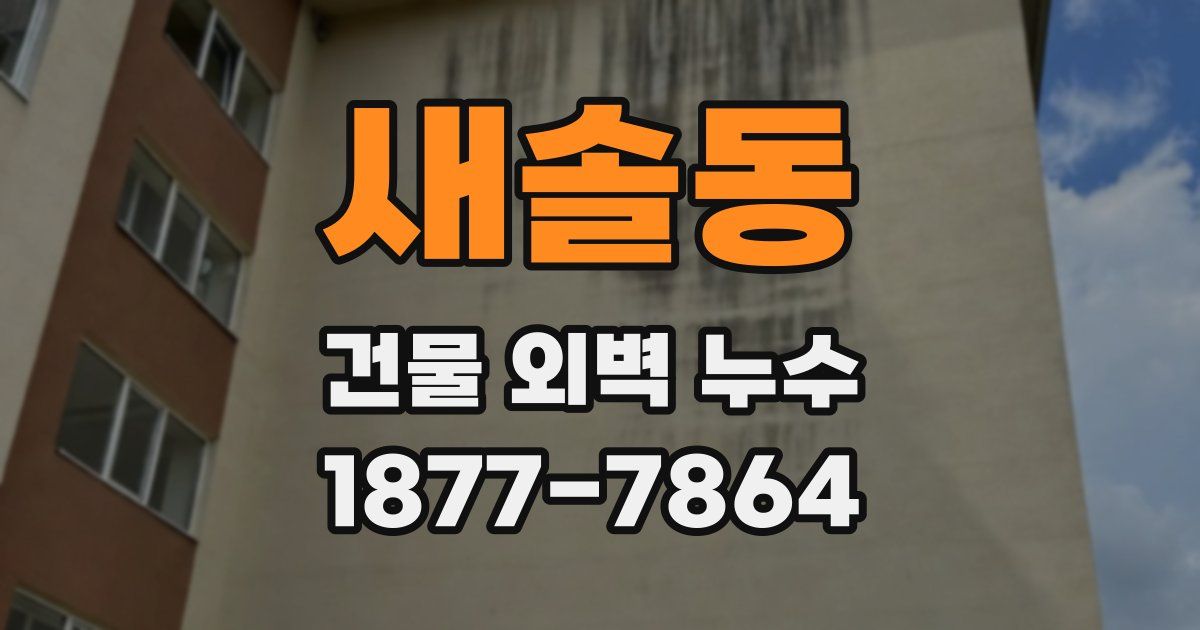 새솔동 건물 외벽 누수