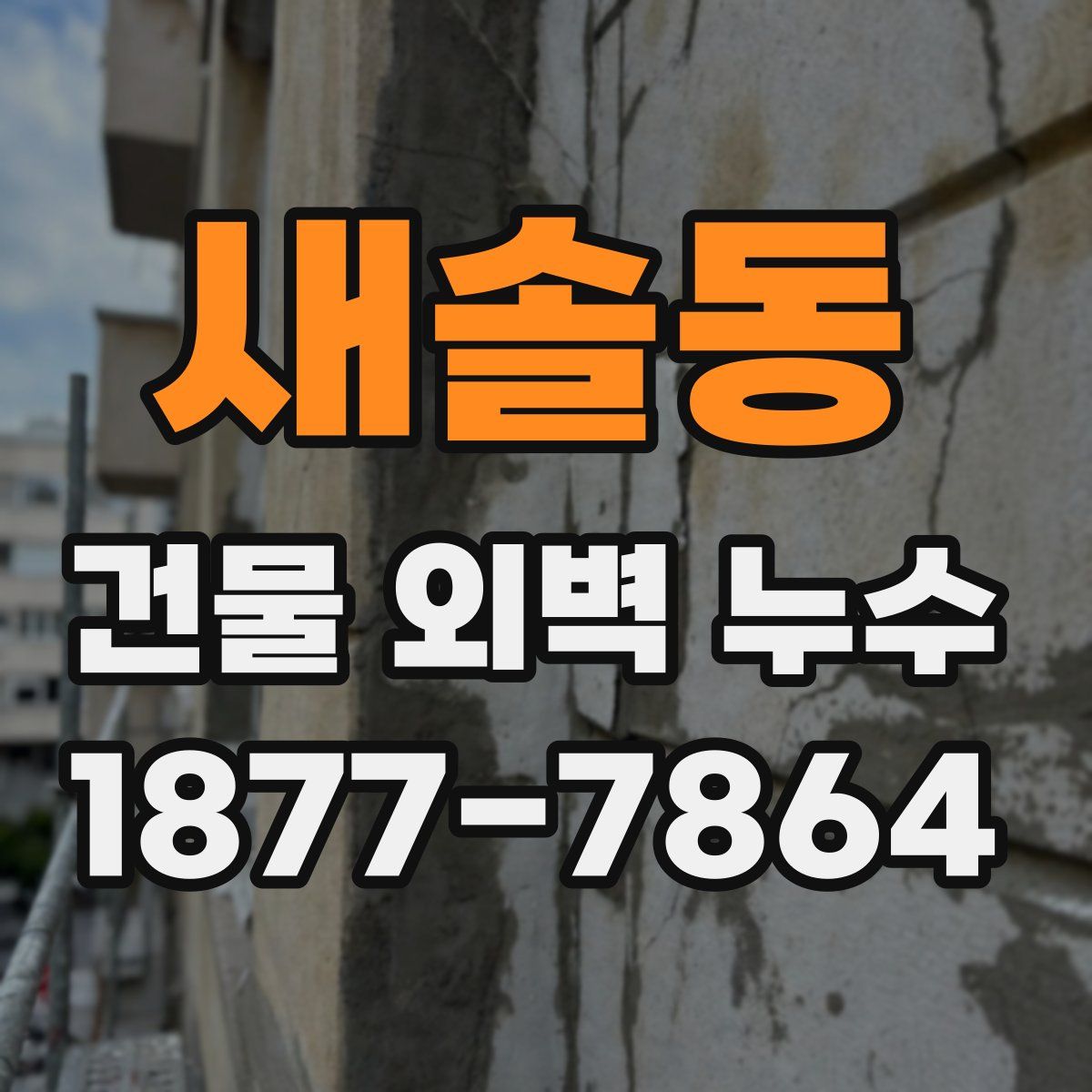 새솔동 건물 외벽 누수