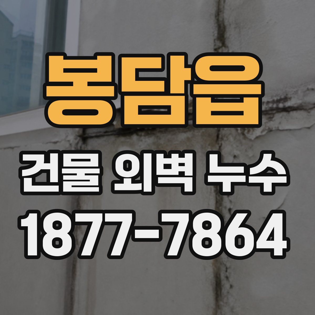 봉담읍 건물 외벽 누수