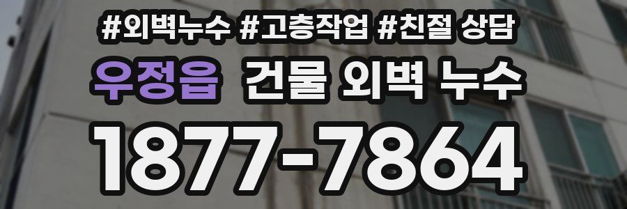 우정읍 건물 외벽 누수