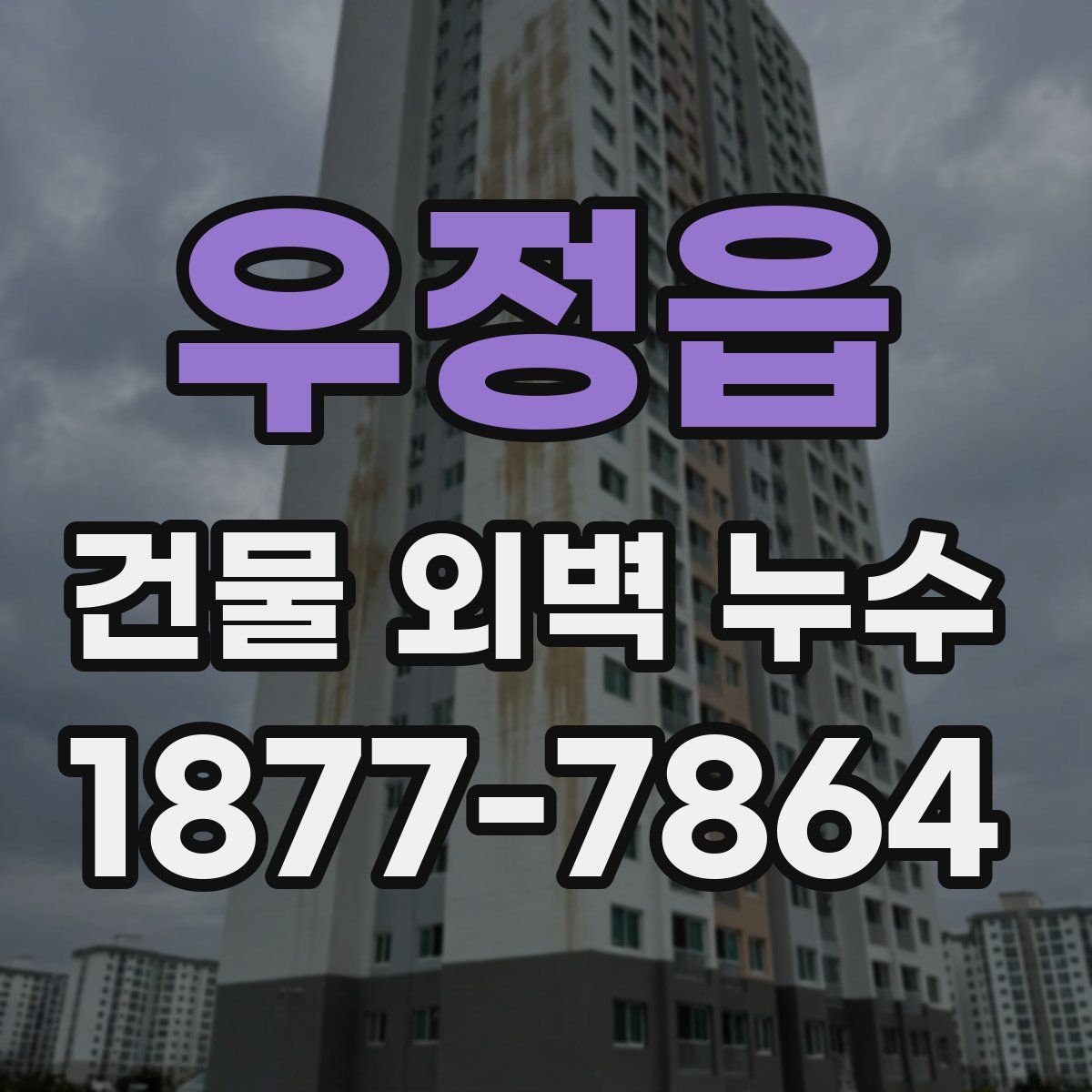 우정읍 건물 외벽 누수