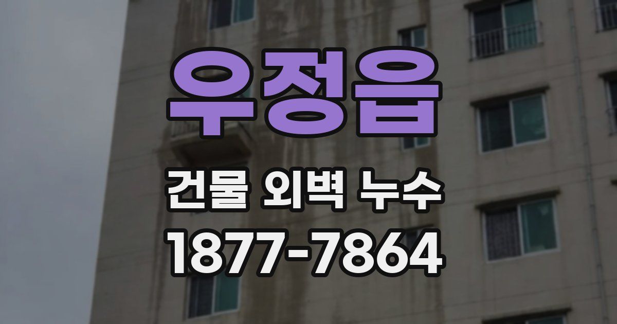우정읍 건물 외벽 누수