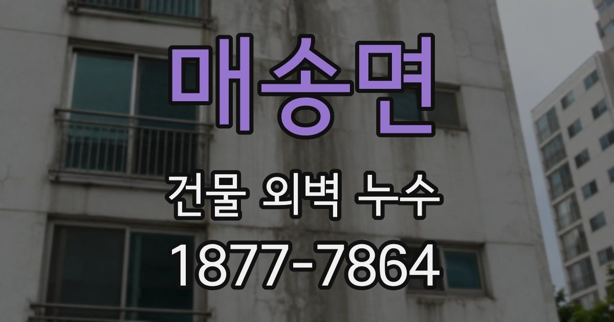 매송면 건물 외벽 누수